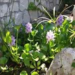Bed & Breakfast Cala Del Rio