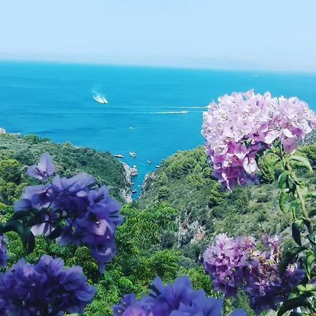 Cala Del Rio Bed & Breakfast