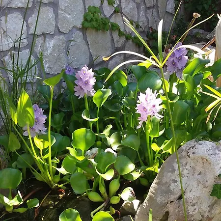 Couette-café Cala Del Rio